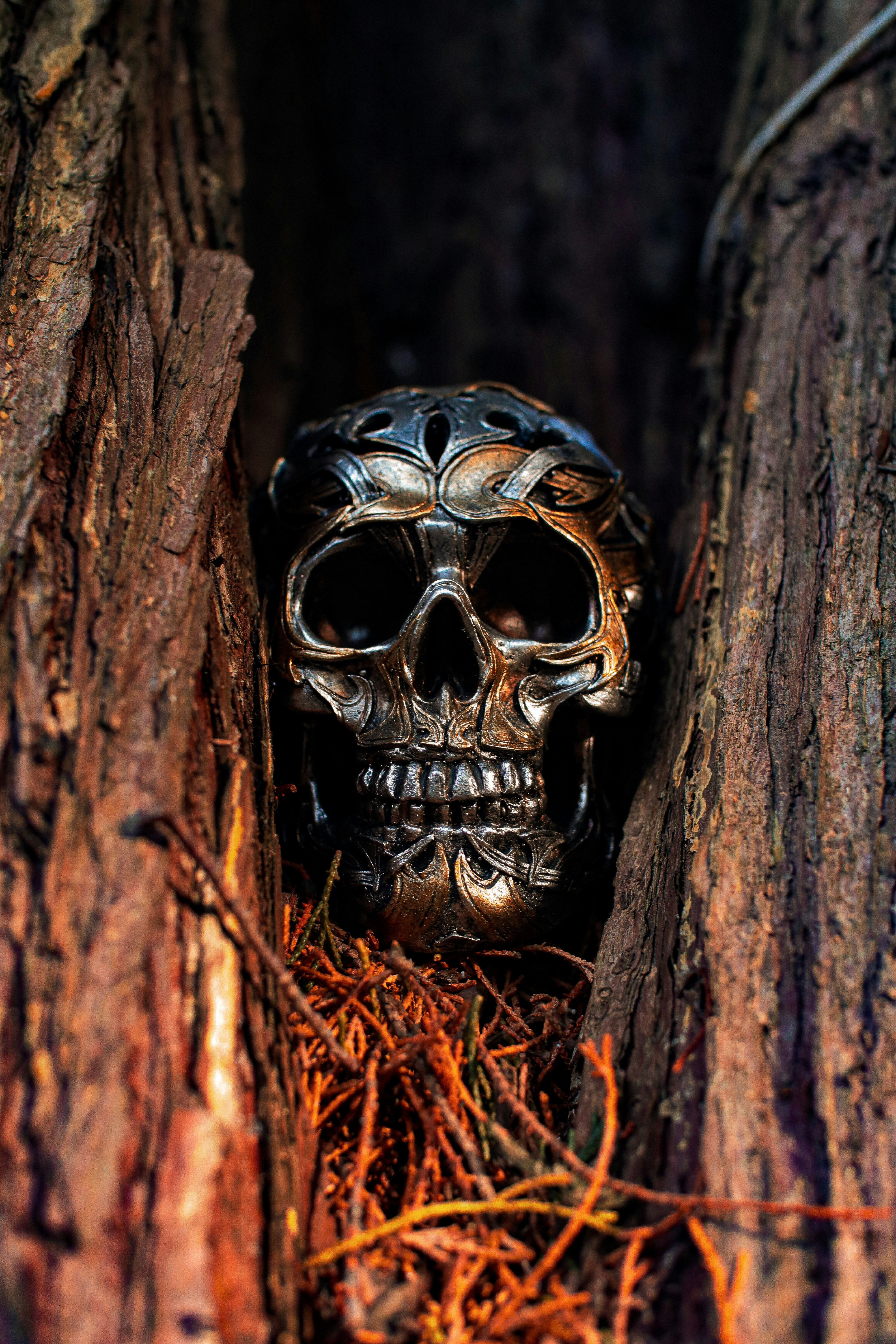 a skull in the middle of a tree