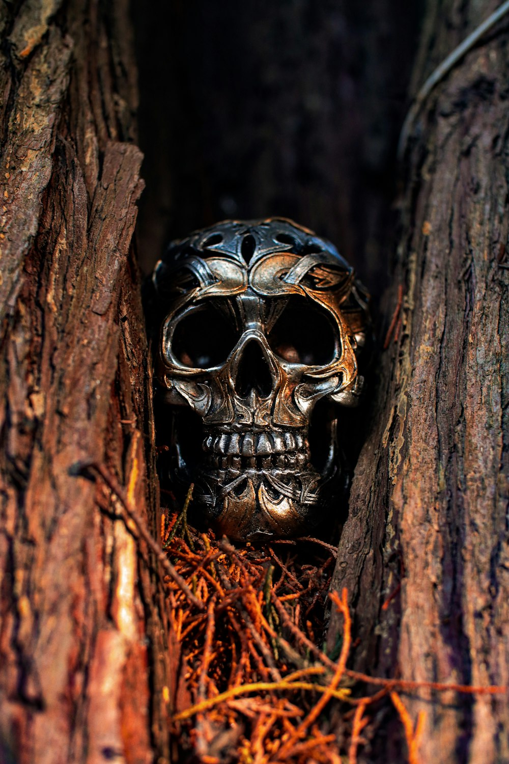 a skull in the middle of a tree