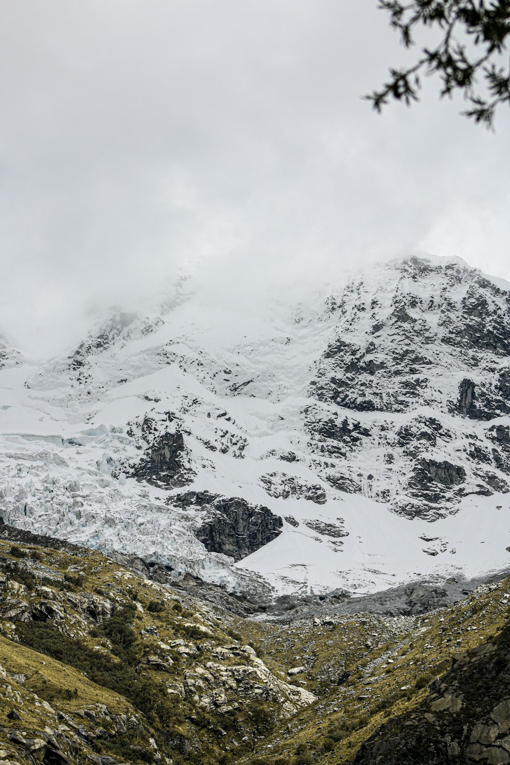 a mountain covered in snow and surrounded by green grass