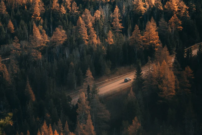 18-Day Budget Backpacking: Eastern Canada & USA Foliage Route