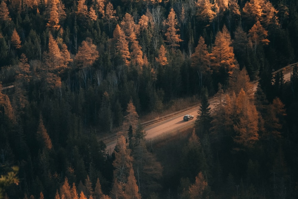 an aerial view of a road surrounded by trees