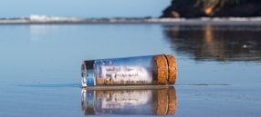 a message in a bottle sitting on the beach