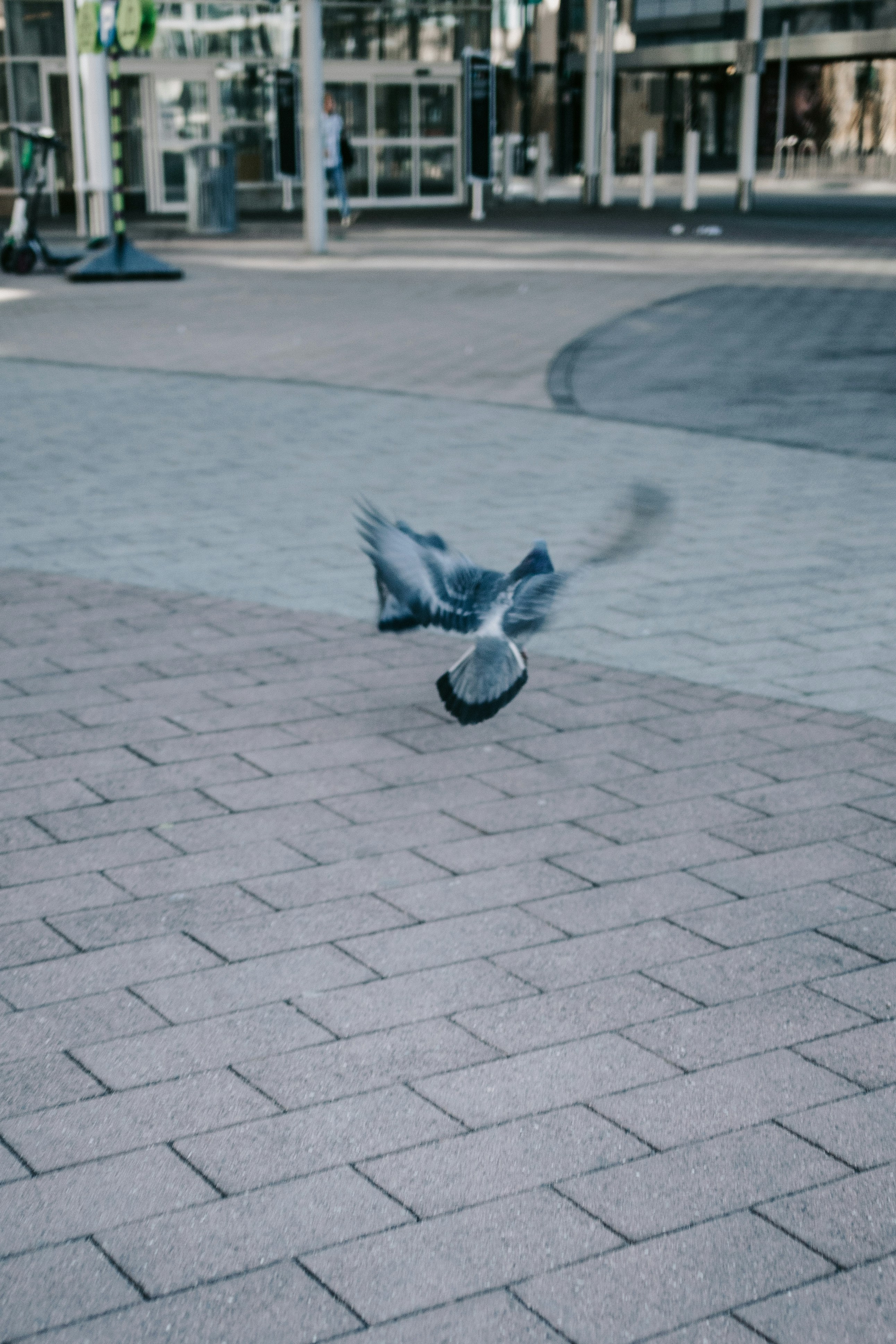 Photo by dillydallying