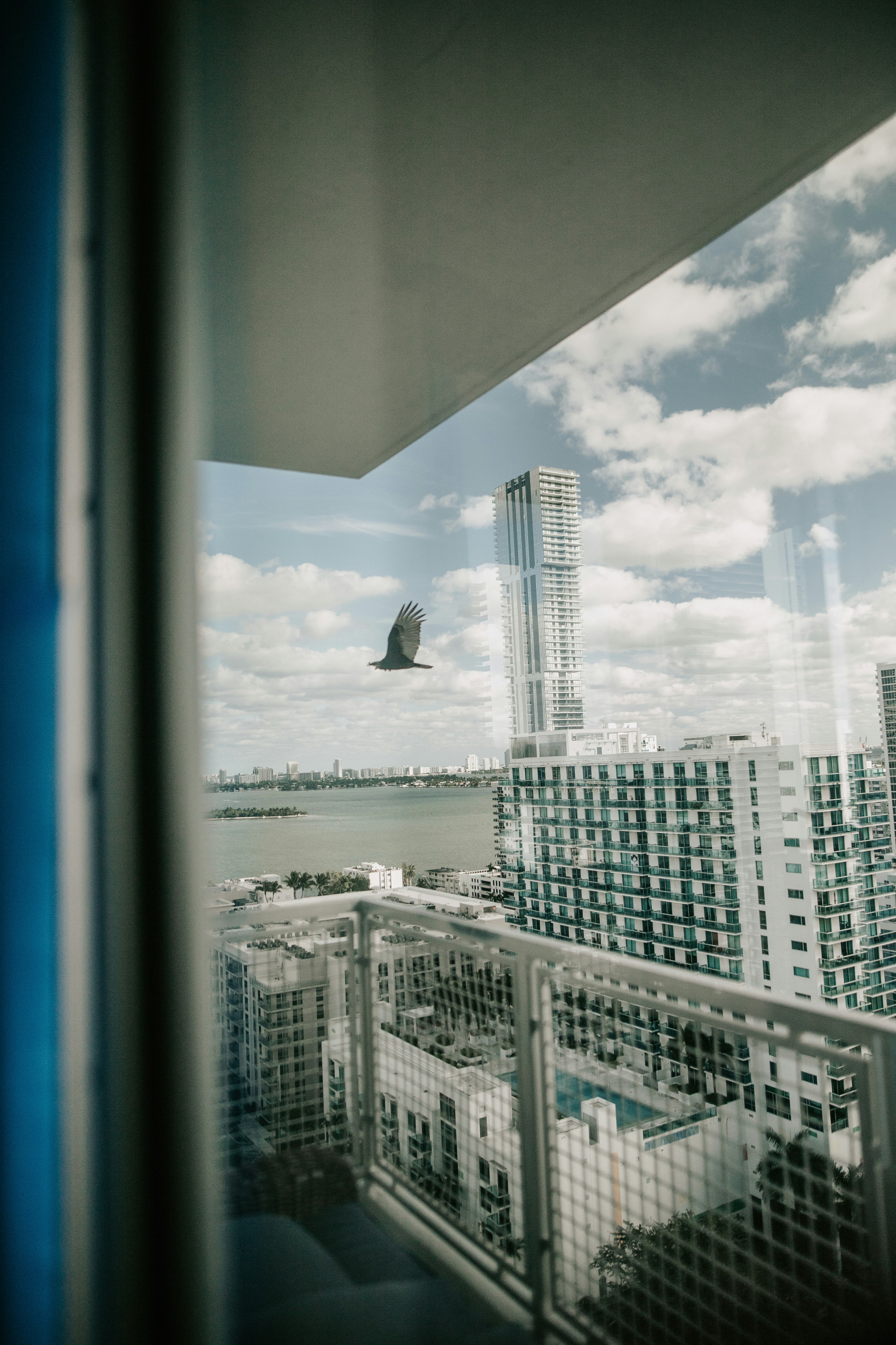 Completed Restoration Project