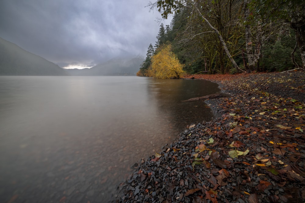 a body of water surrounded by trees and rocks