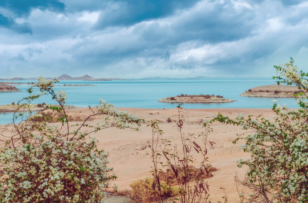 Una vista de un cuerpo de agua desde la distancia