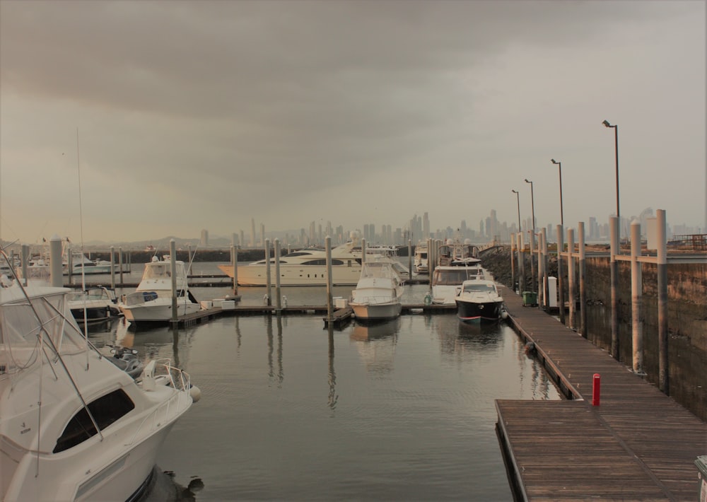 a marina with several boats docked in it