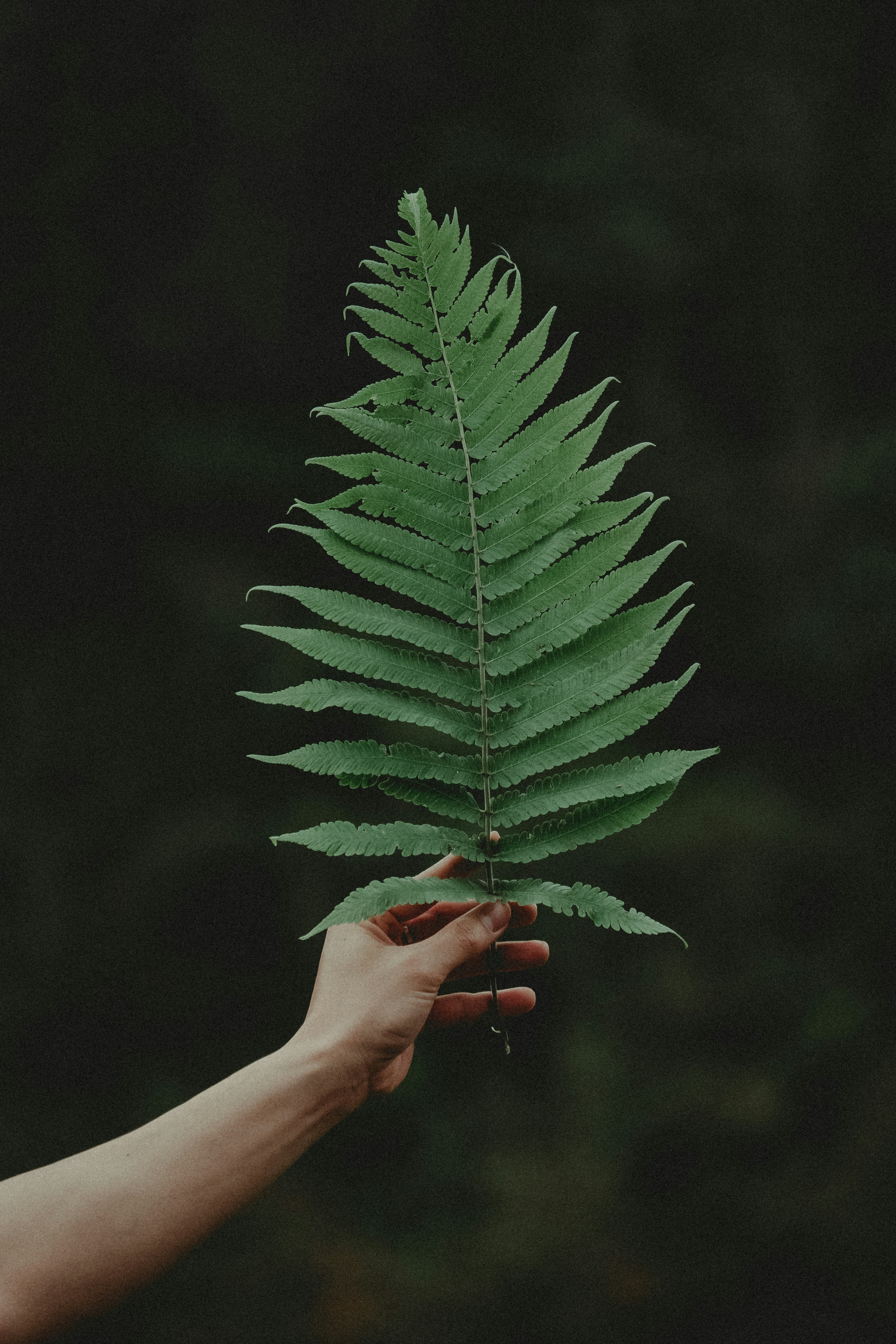 Photo by xiaowuuuuuuu