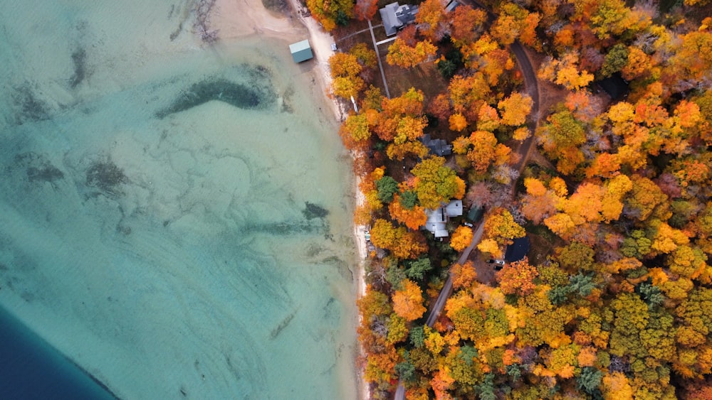 an aerial view of a lake surrounded by trees