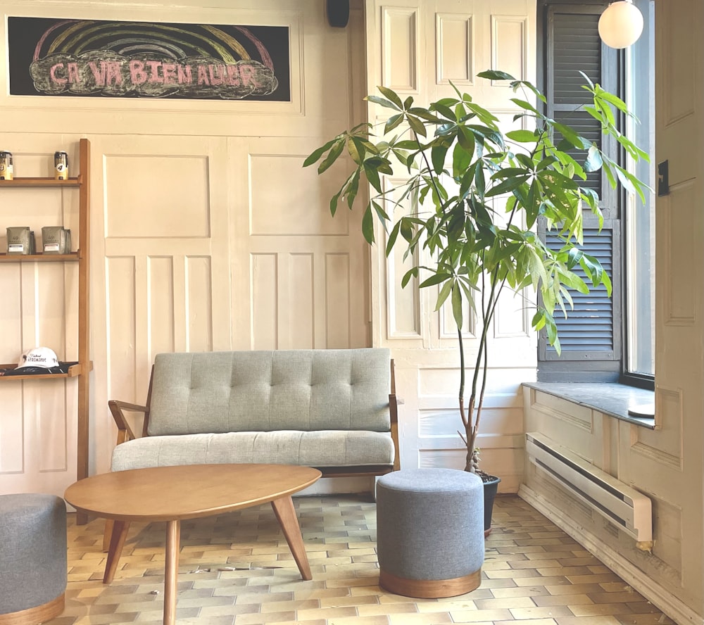 a living room with a couch a chair and a potted plant