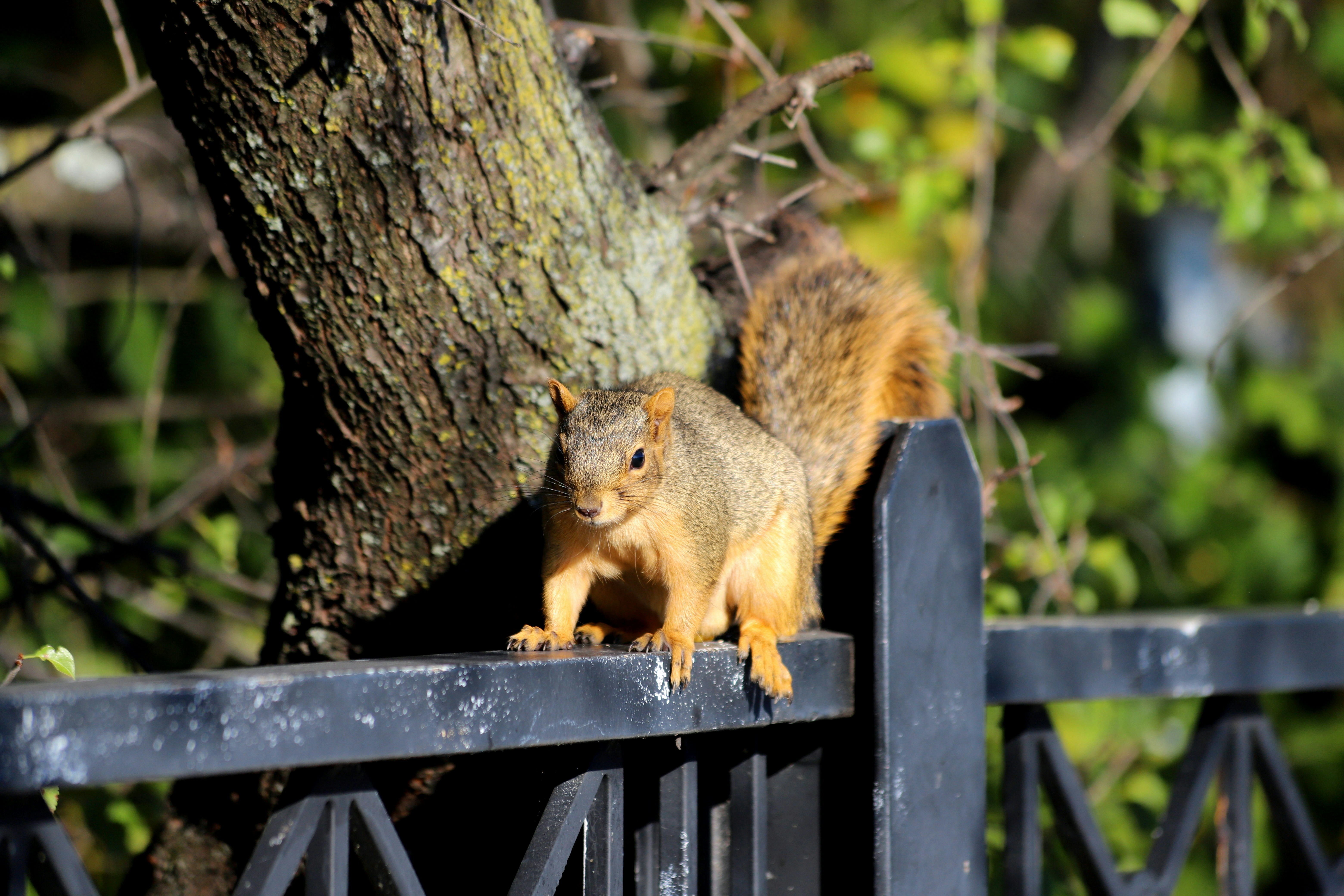 Photo by forsakenfilmslimited