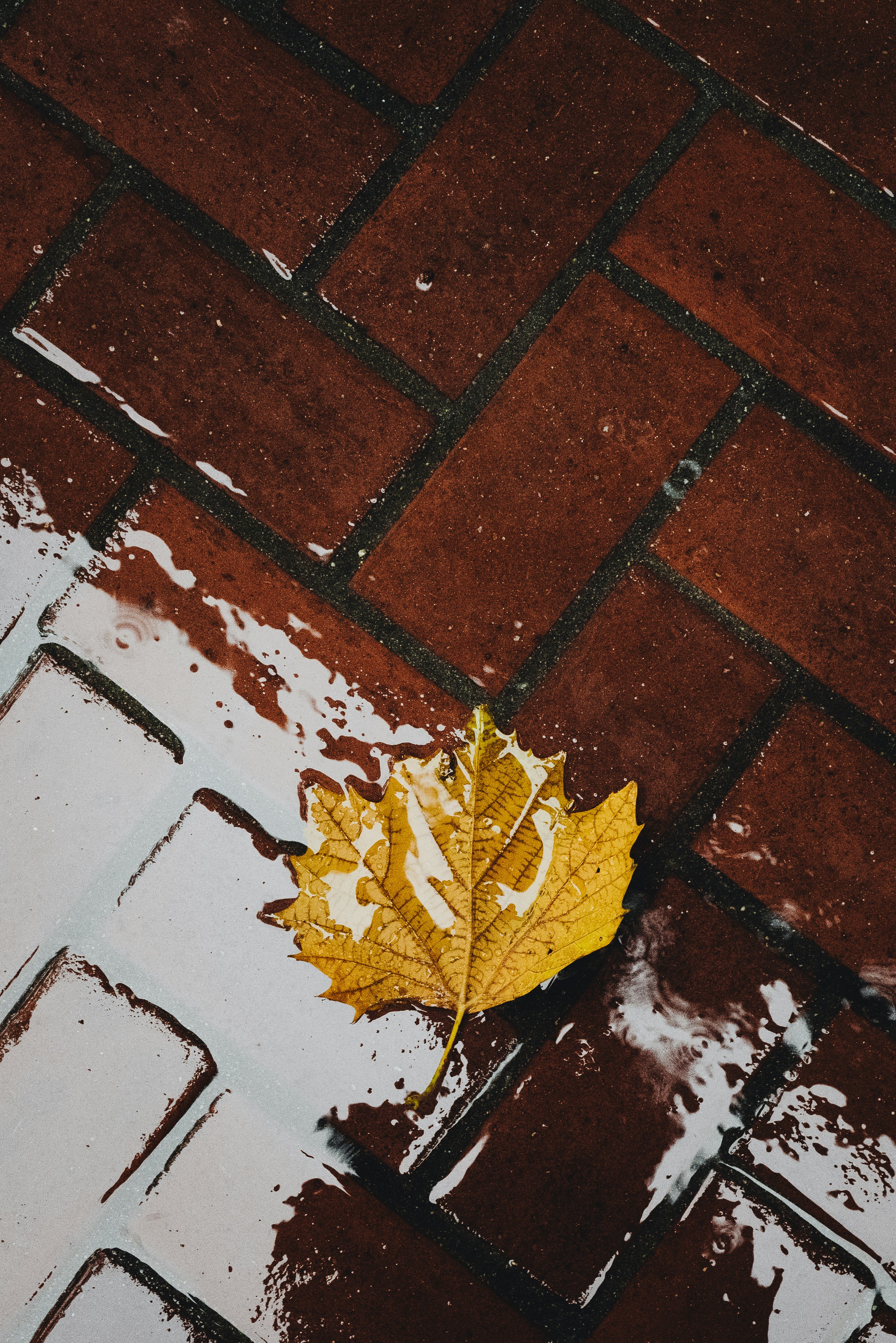 a yellow leaf laying on a brick sidewalk