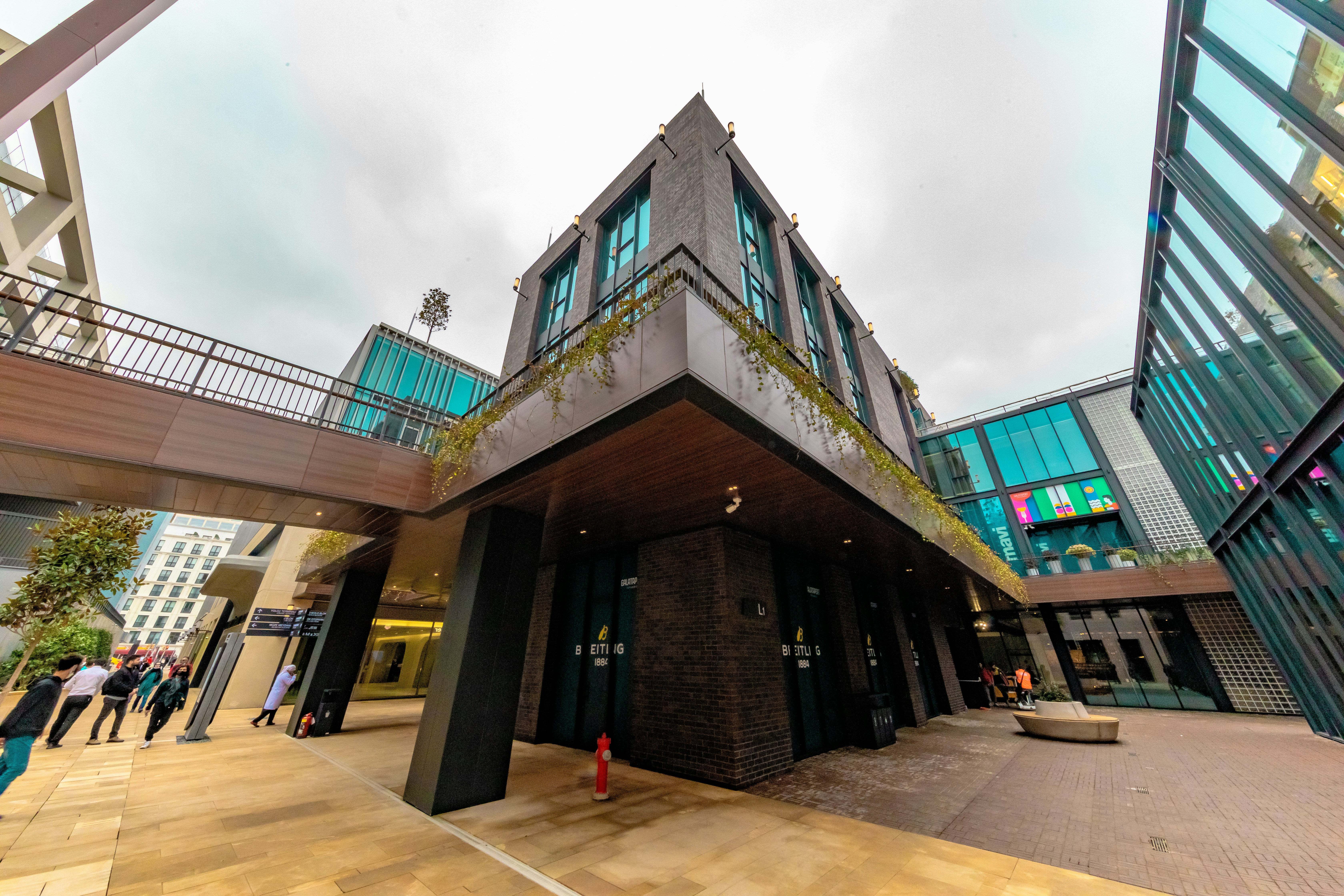 Photo by sinahnyazdi