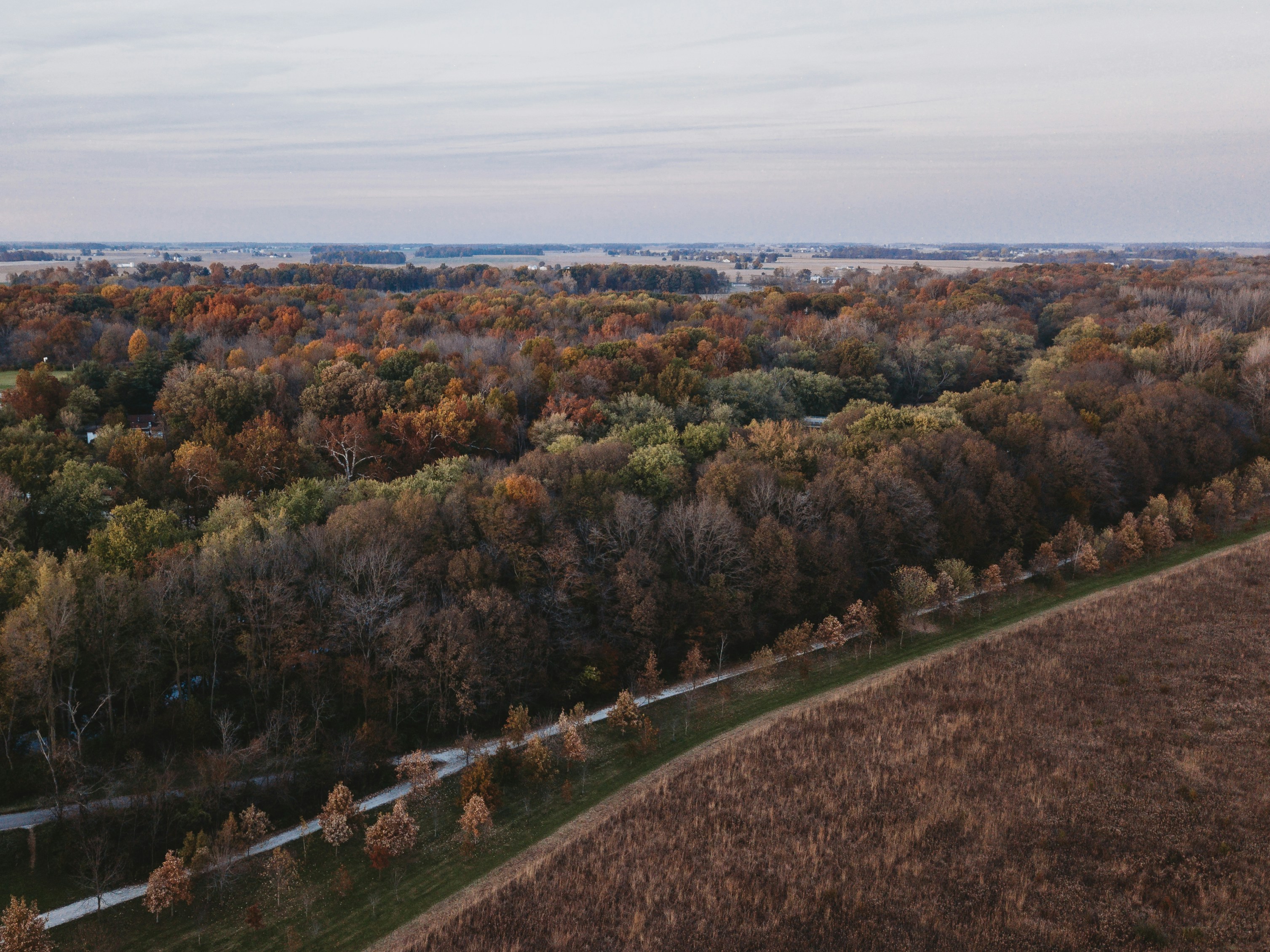 Photo by stevenvanelk