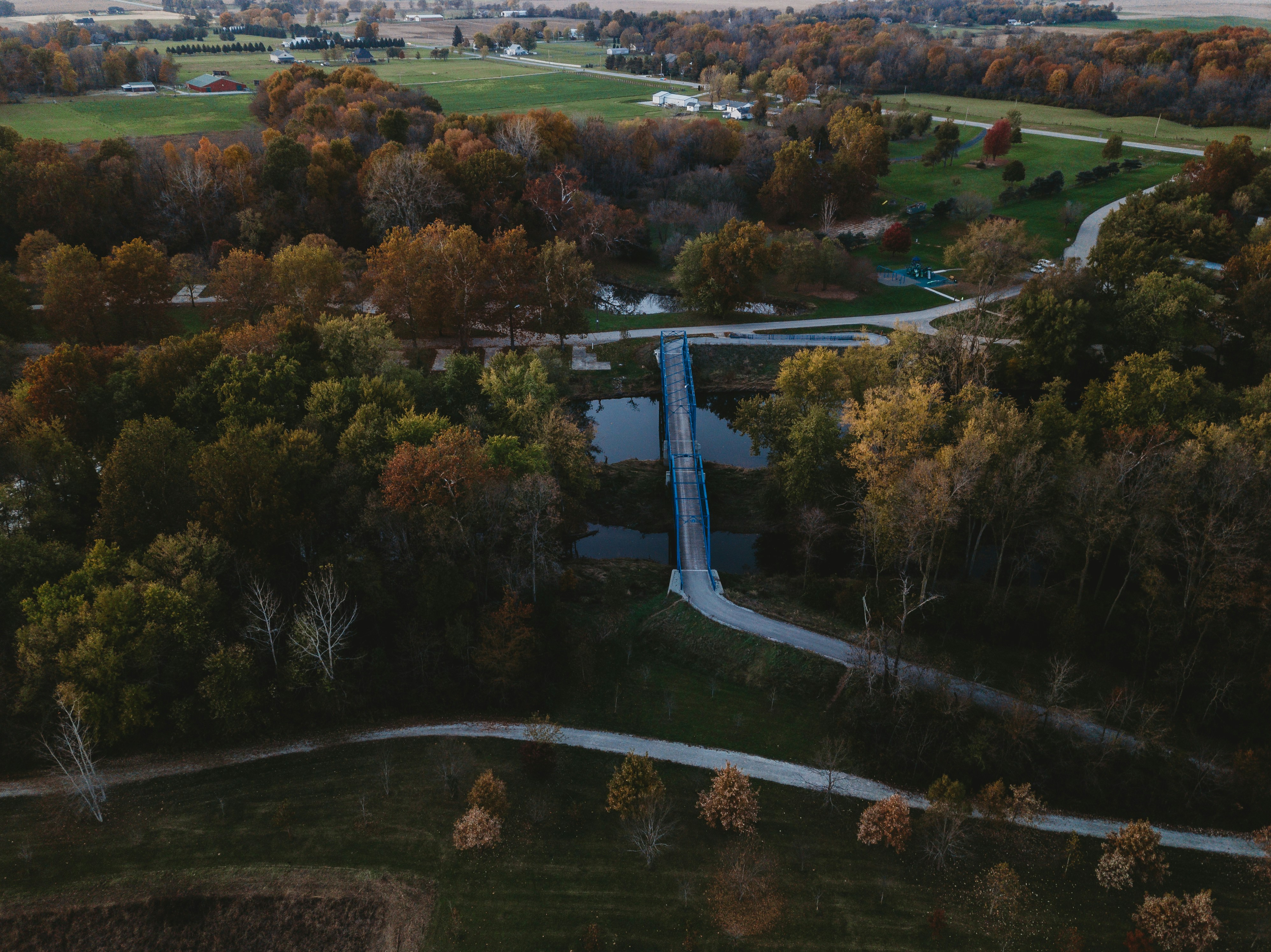 Photo by stevenvanelk