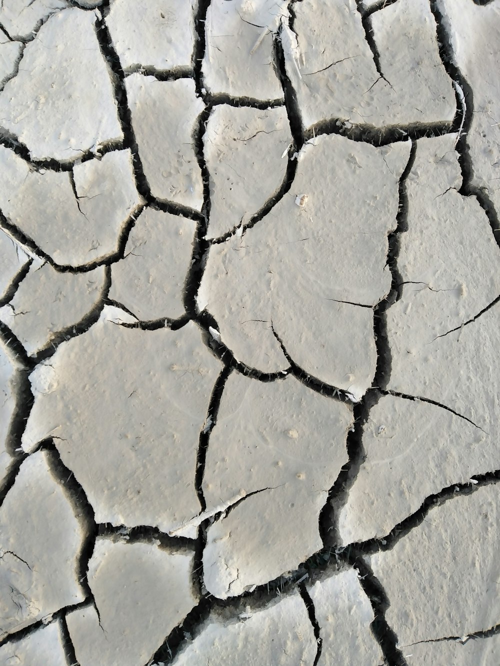 une fissure dans le sol qui a été fissurée