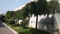 Neatly trimmed trees line the edge of a building with white tiled walls. The grass and pavement form a clean path around the hedges and trees, suggesting a maintained landscape.
