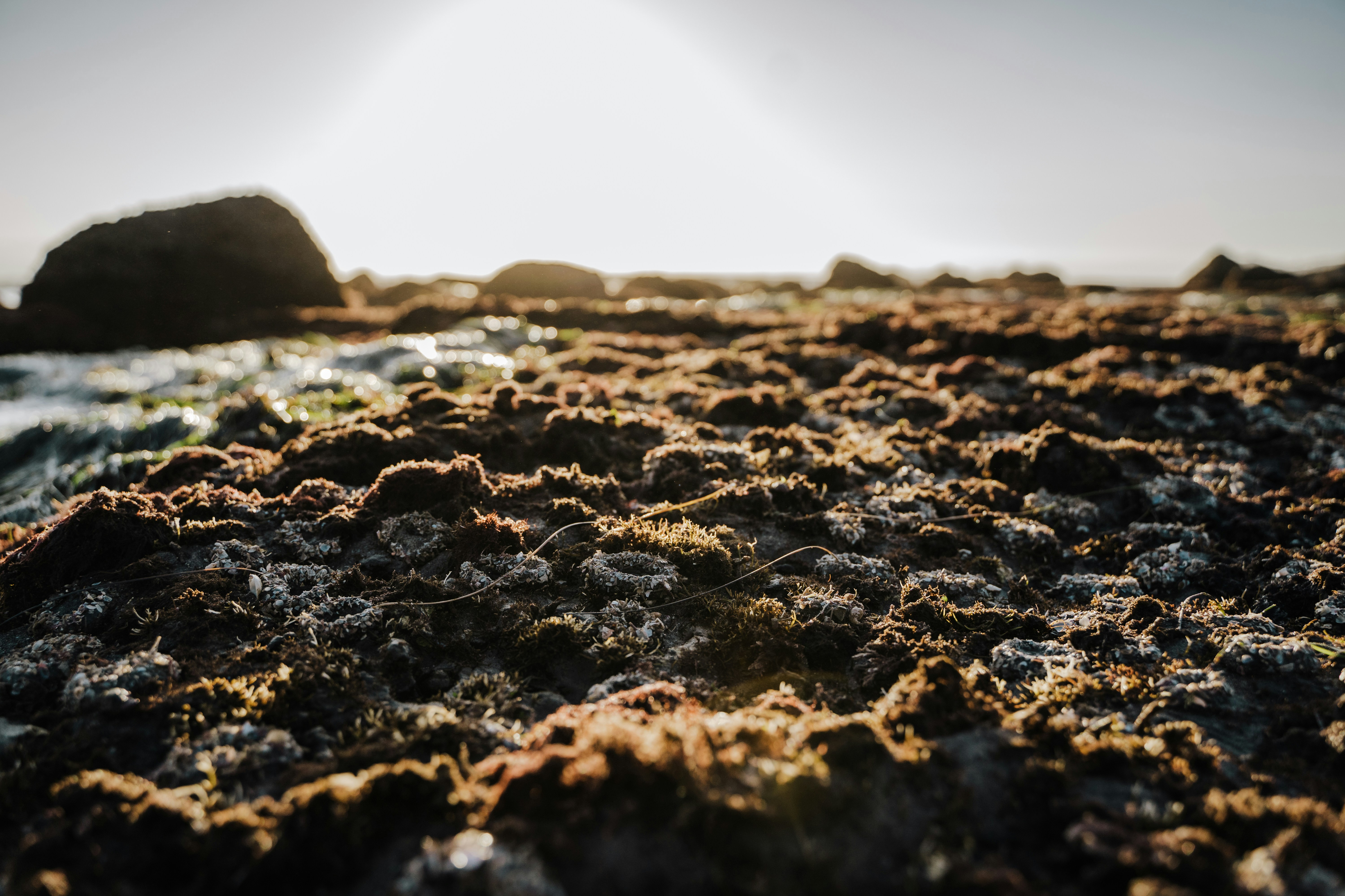 Photo by josuemichelphotography