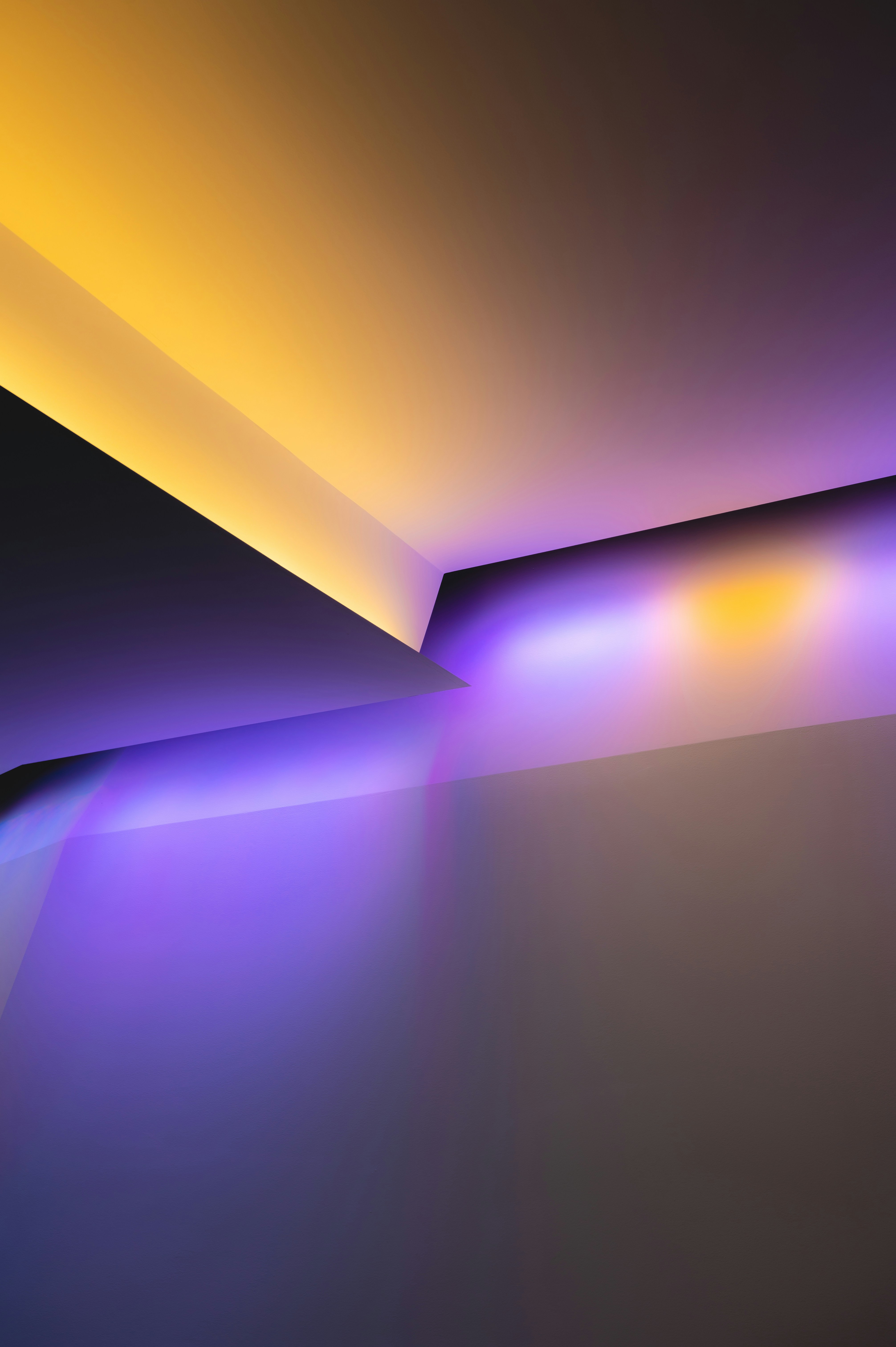 Photo by ryunosuke_kikuno