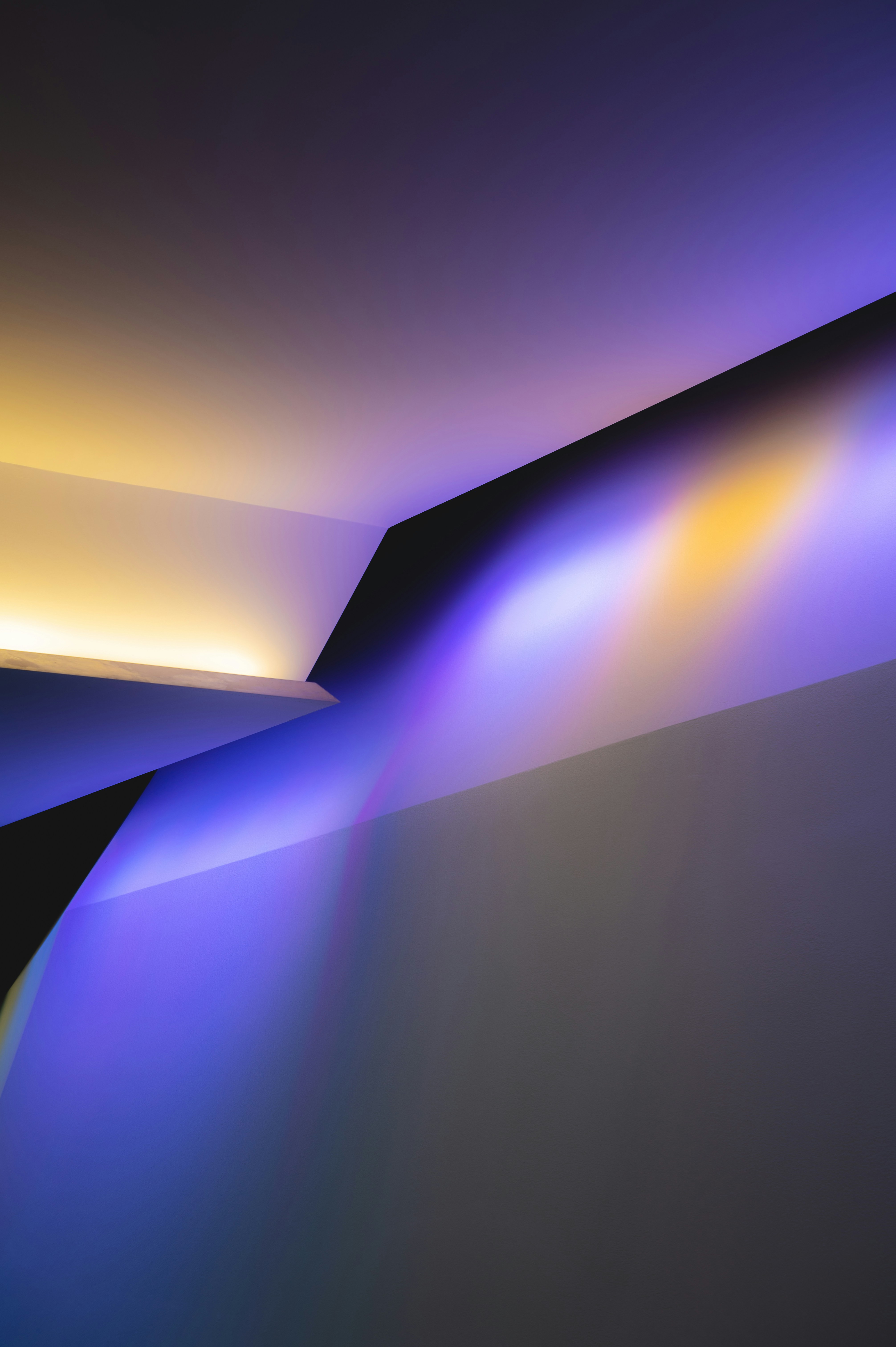 Photo by ryunosuke_kikuno