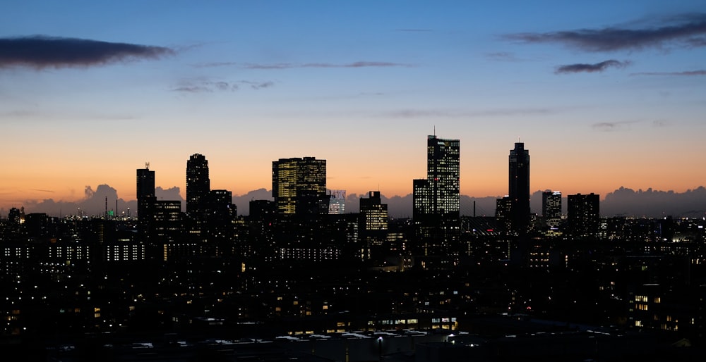 a view of a city skyline at dusk