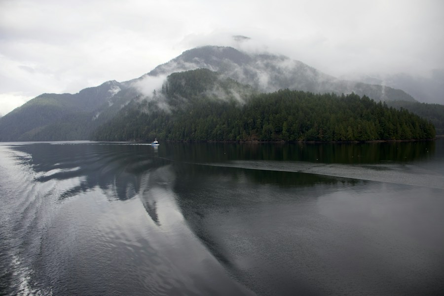 Great Bear Rainforest: British Columbia's Spirit Bear Wilderness