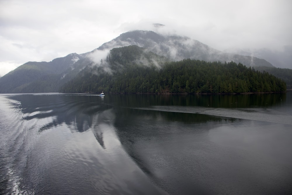 a body of water surrounded by mountains and trees