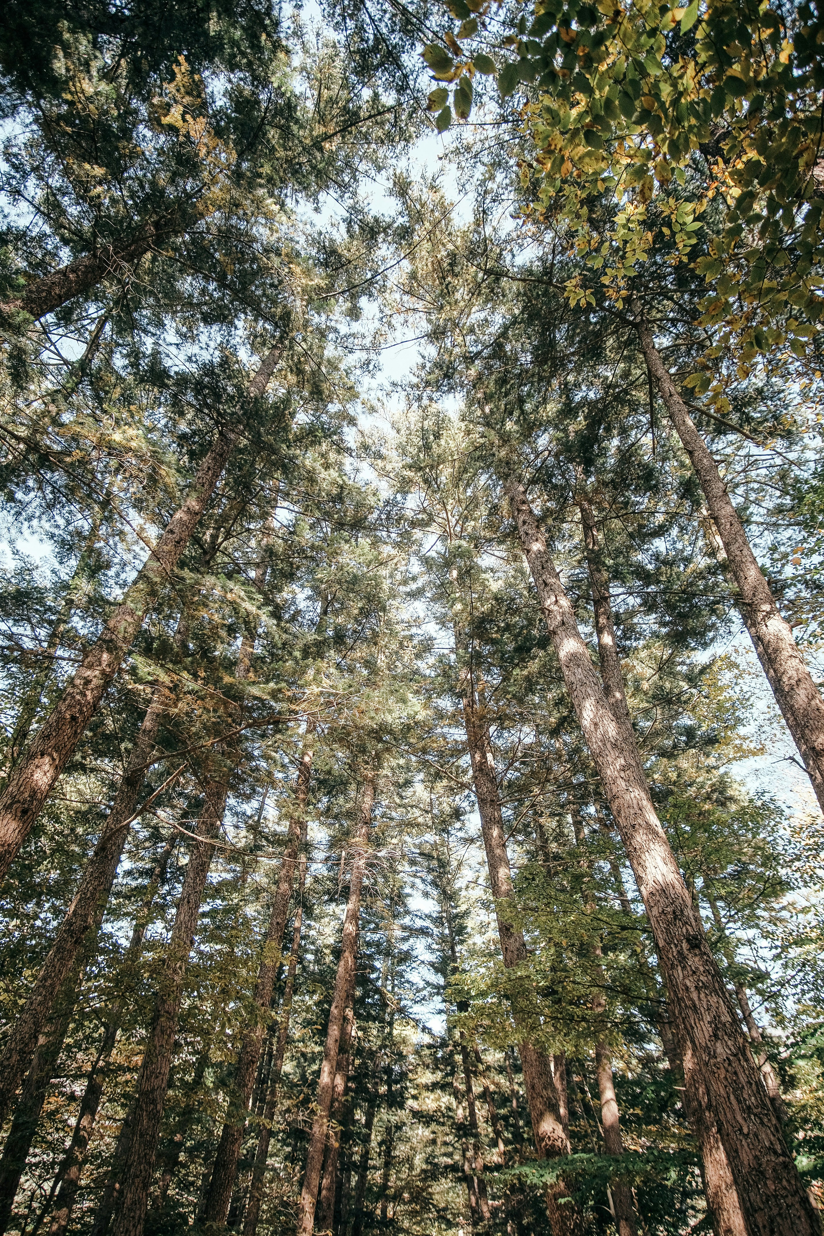 Photo by insungpandora