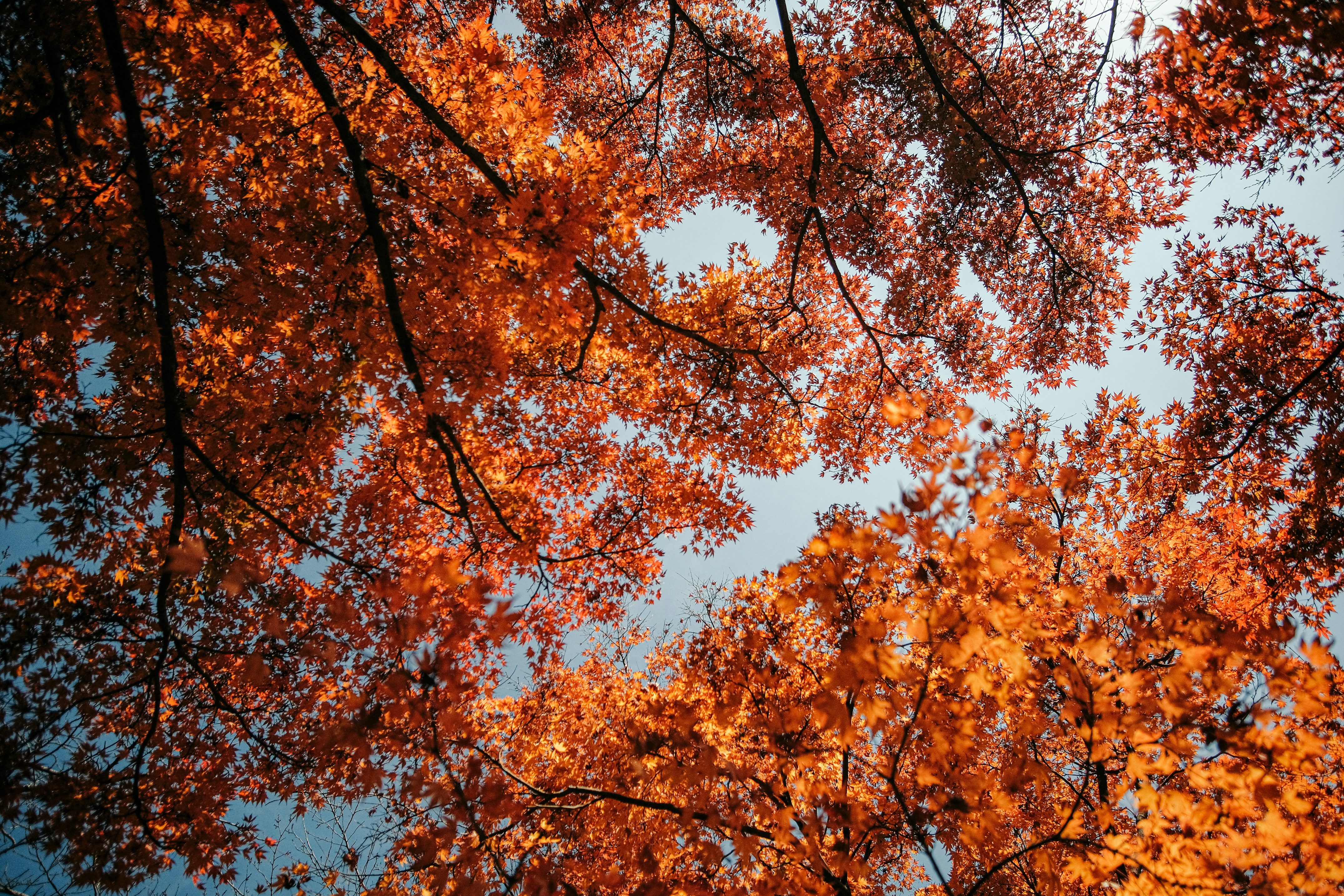 Photo by insungpandora