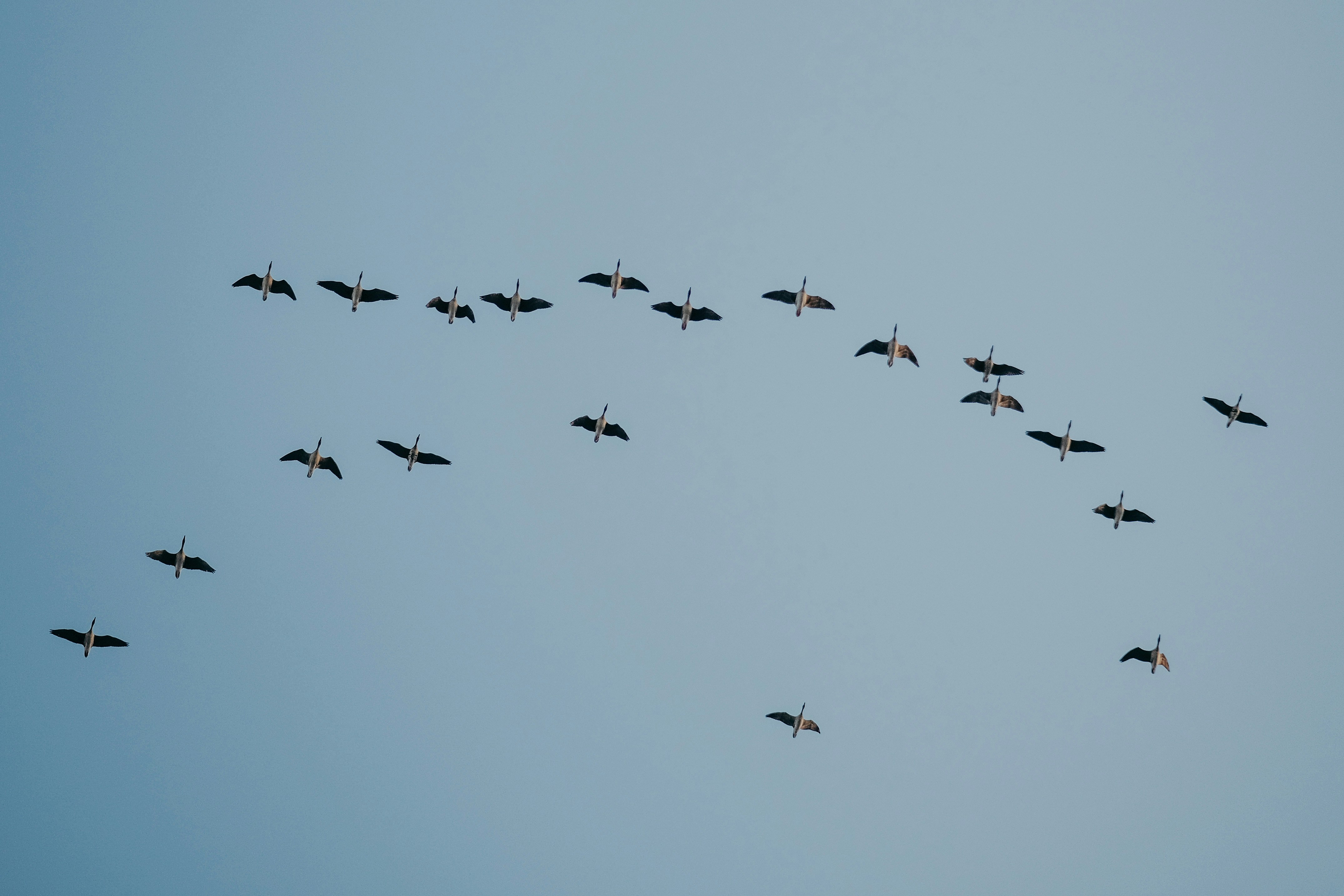 Photo by insungpandora