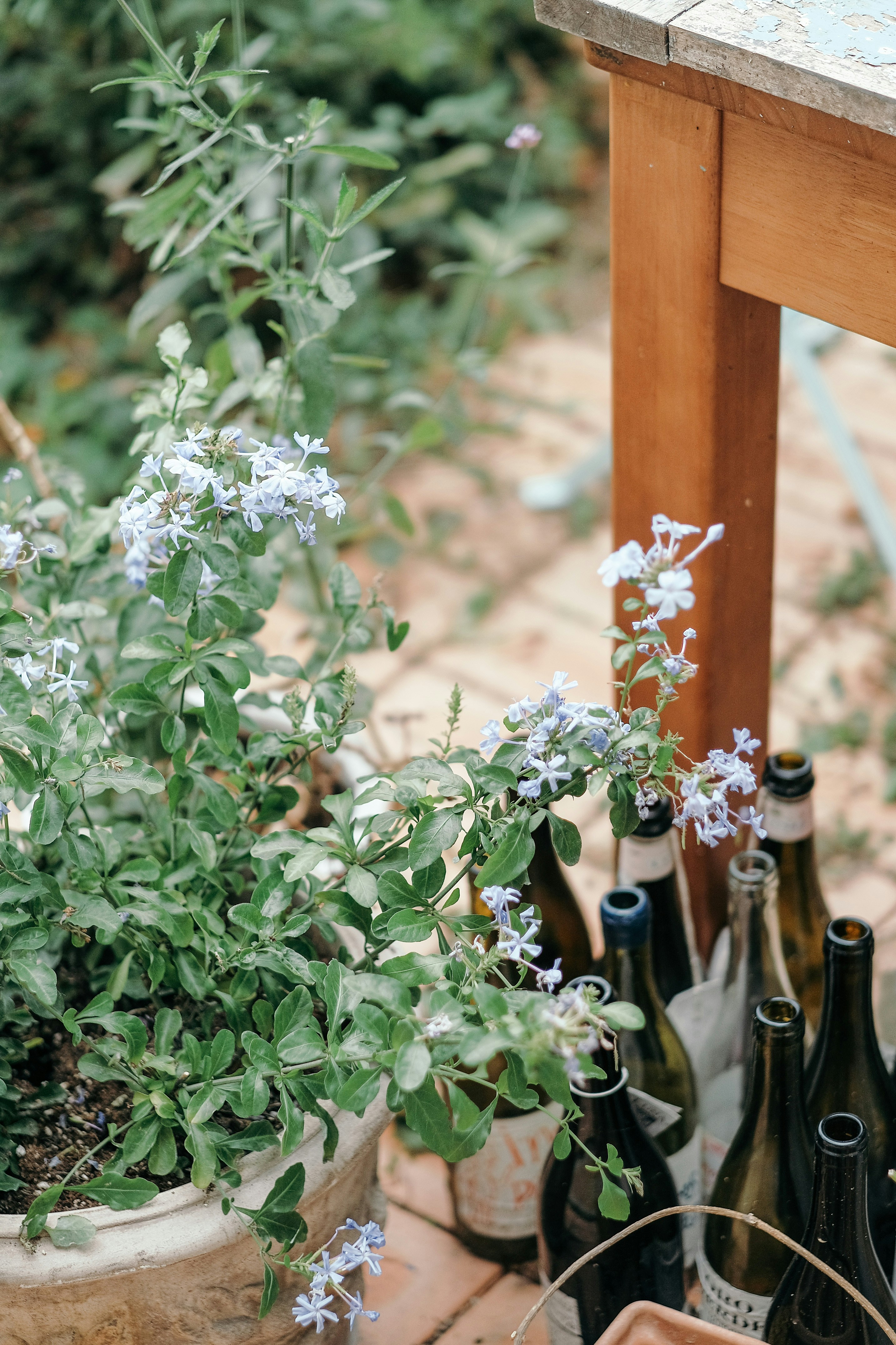 Photo by insungpandora