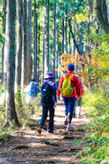 A group of hikers collaborating with a photographer in a lush forest setting.