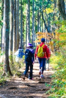 Group of travelers hiking through lush green tropical rainforest trails.