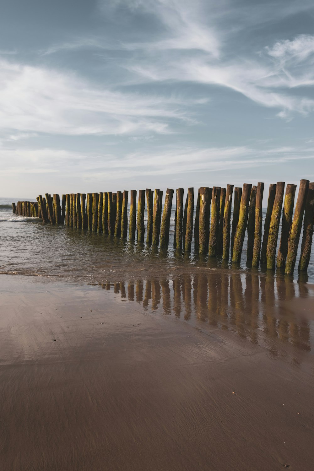 Una playa con un montón de postes de madera que sobresalen de la arena