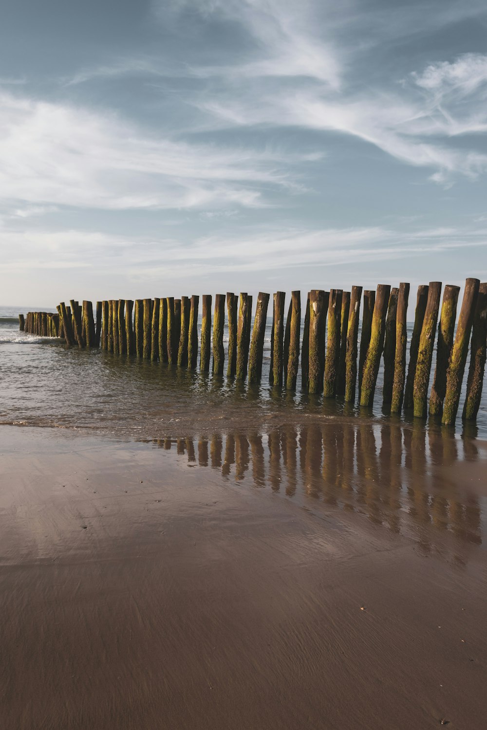 a beach with a bunch of wooden posts sticking out of the sand