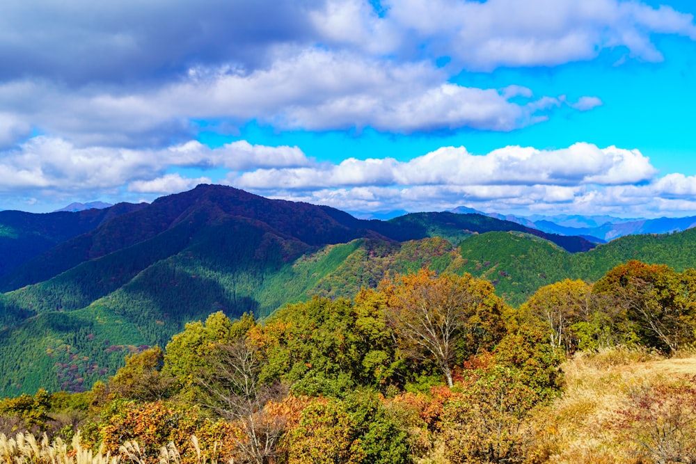 a scenic view of the mountains and trees