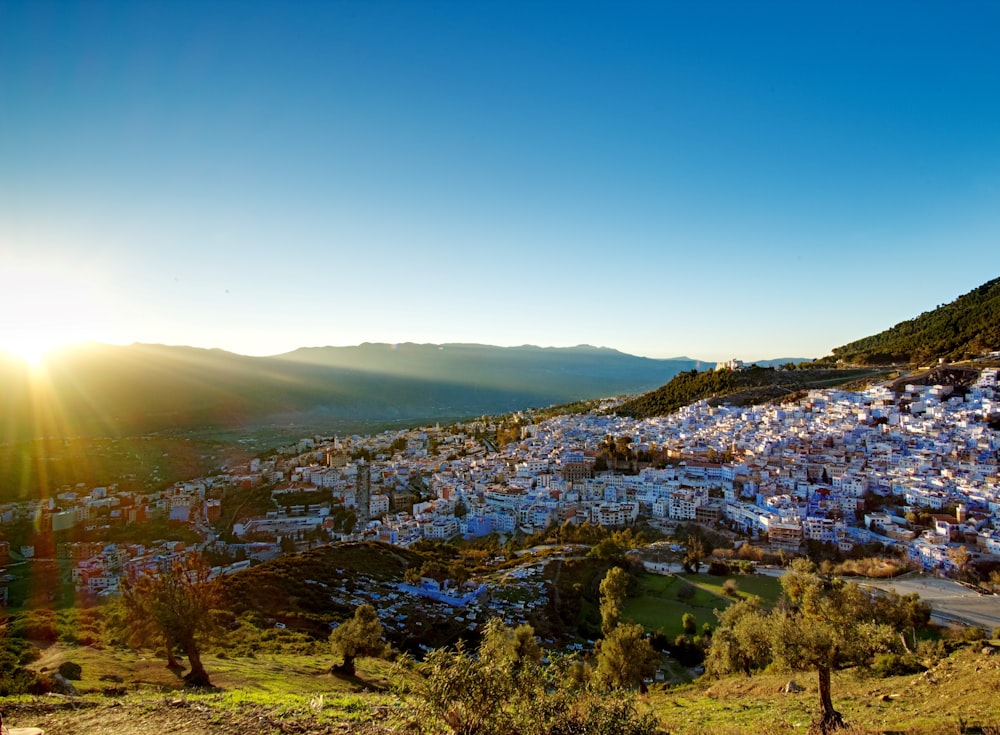 a view of a city from a hill