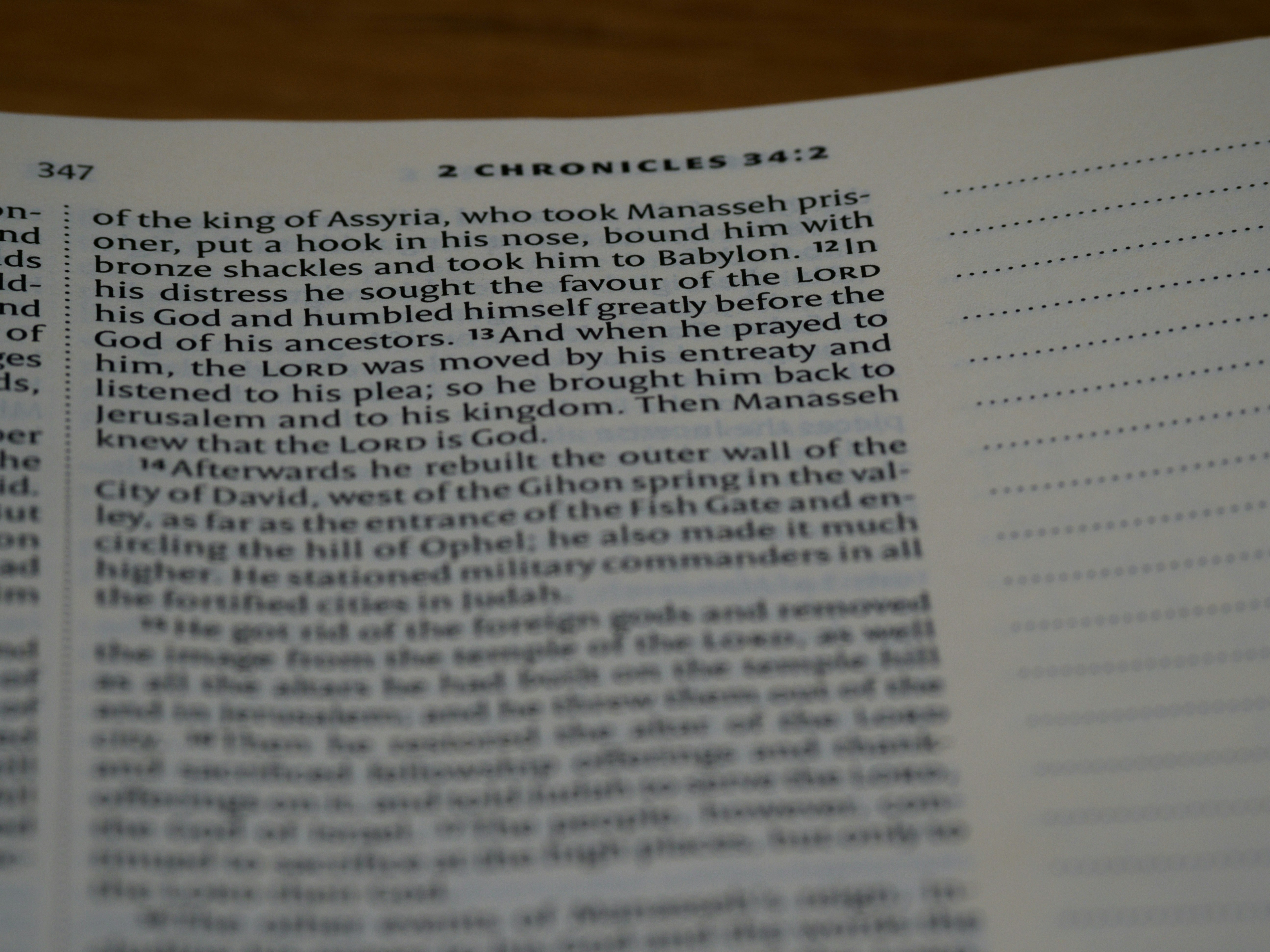 close up, bokeh, macro, blur, blurred background, close focus, bible, old testament, hebrew bible, christian, judaism, history, text, reading, bible study, devotions, text, NIV, New International Version, type, typography, canon, christianity, holy scripture, holy bible, scripture, chronicles, 2 chronicles, דִּבְרֵי־הַיָּמִים, Diḇrê Hayyāmîm, hebrew bible, final book, ketuvim, tanakh, septuagint, Paralipoménōn,  Books of Paralipomenon, second chronicles, historical, ancient near east texts, anet, 
