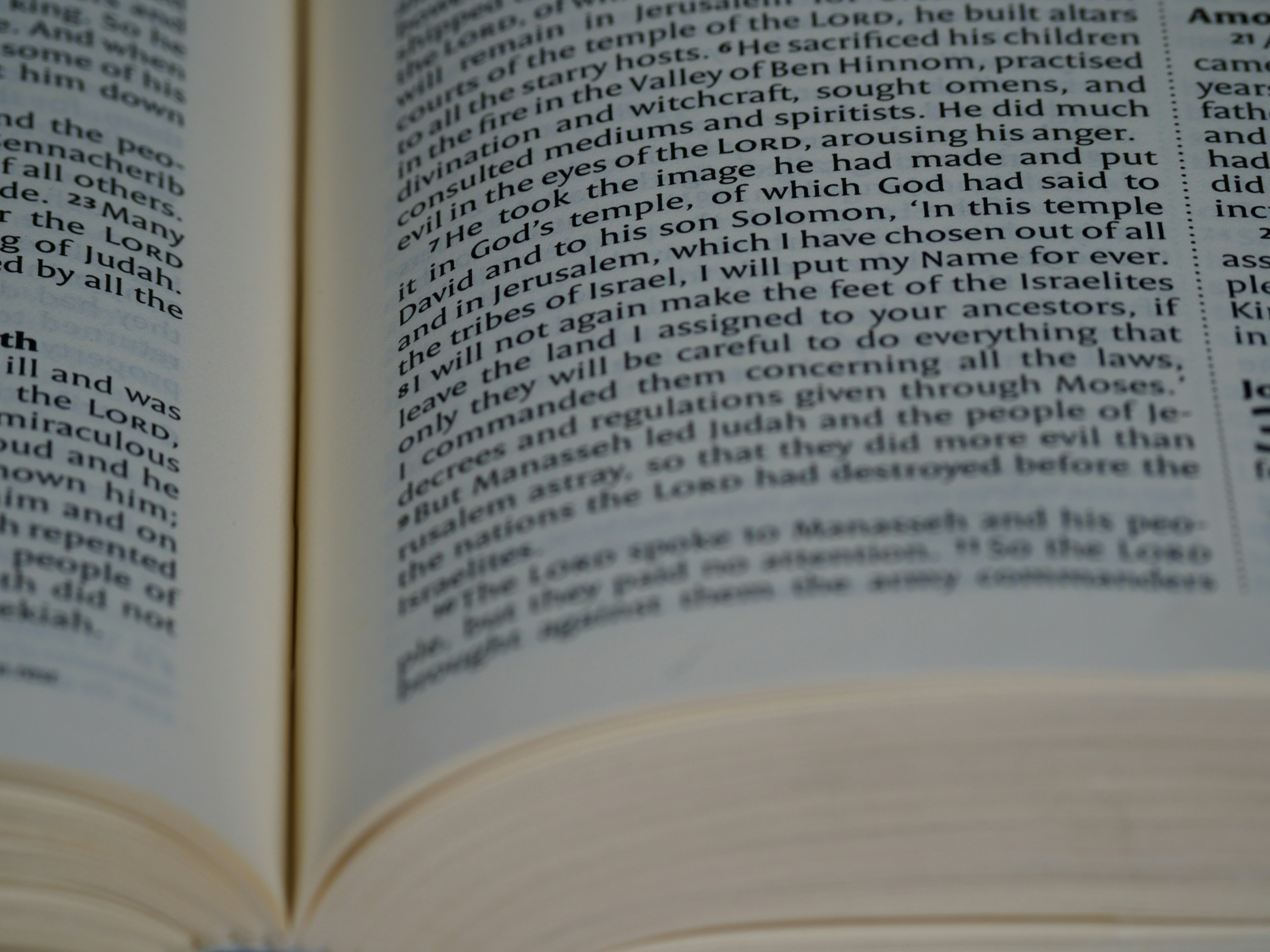 Photo by brett_jordan