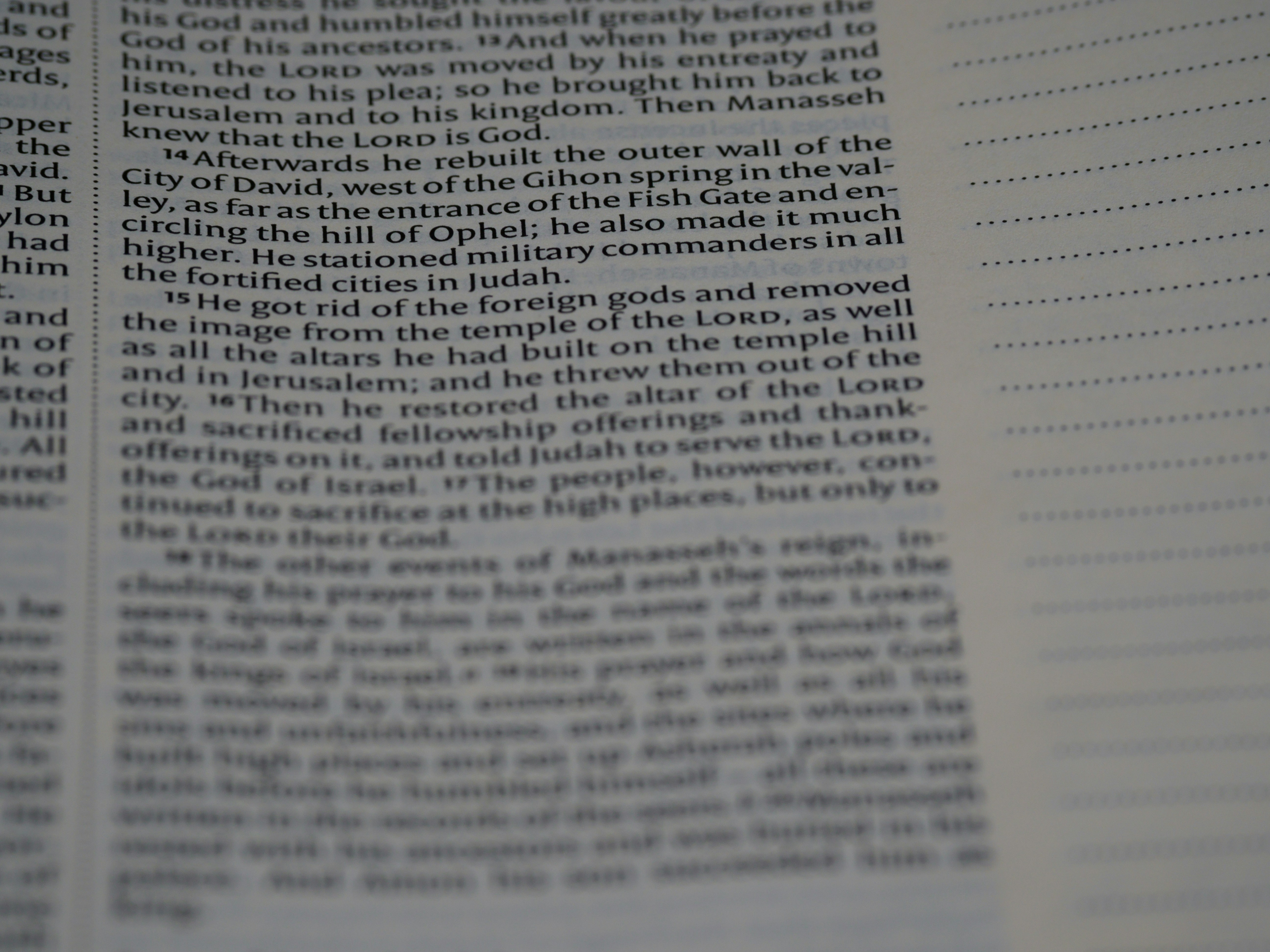 Photo by brett_jordan