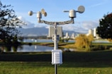 a cell phone tower in the middle of a park