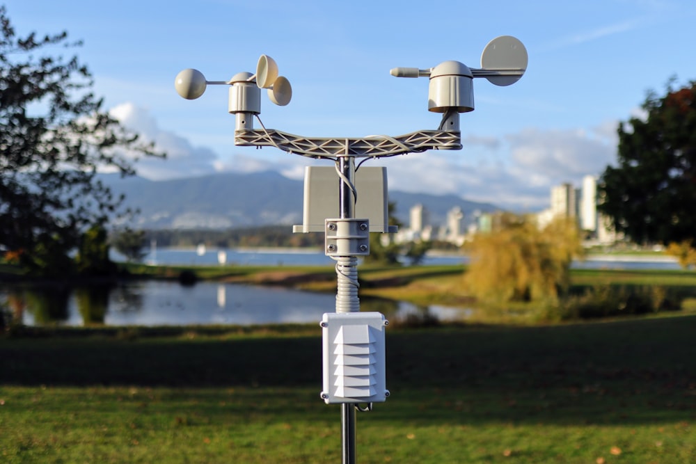 a cell phone tower in the middle of a park