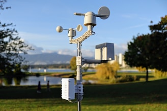 a cell phone tower in a park with a lake in the background