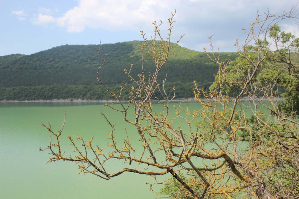 a view of a body of water with a mountain in the background