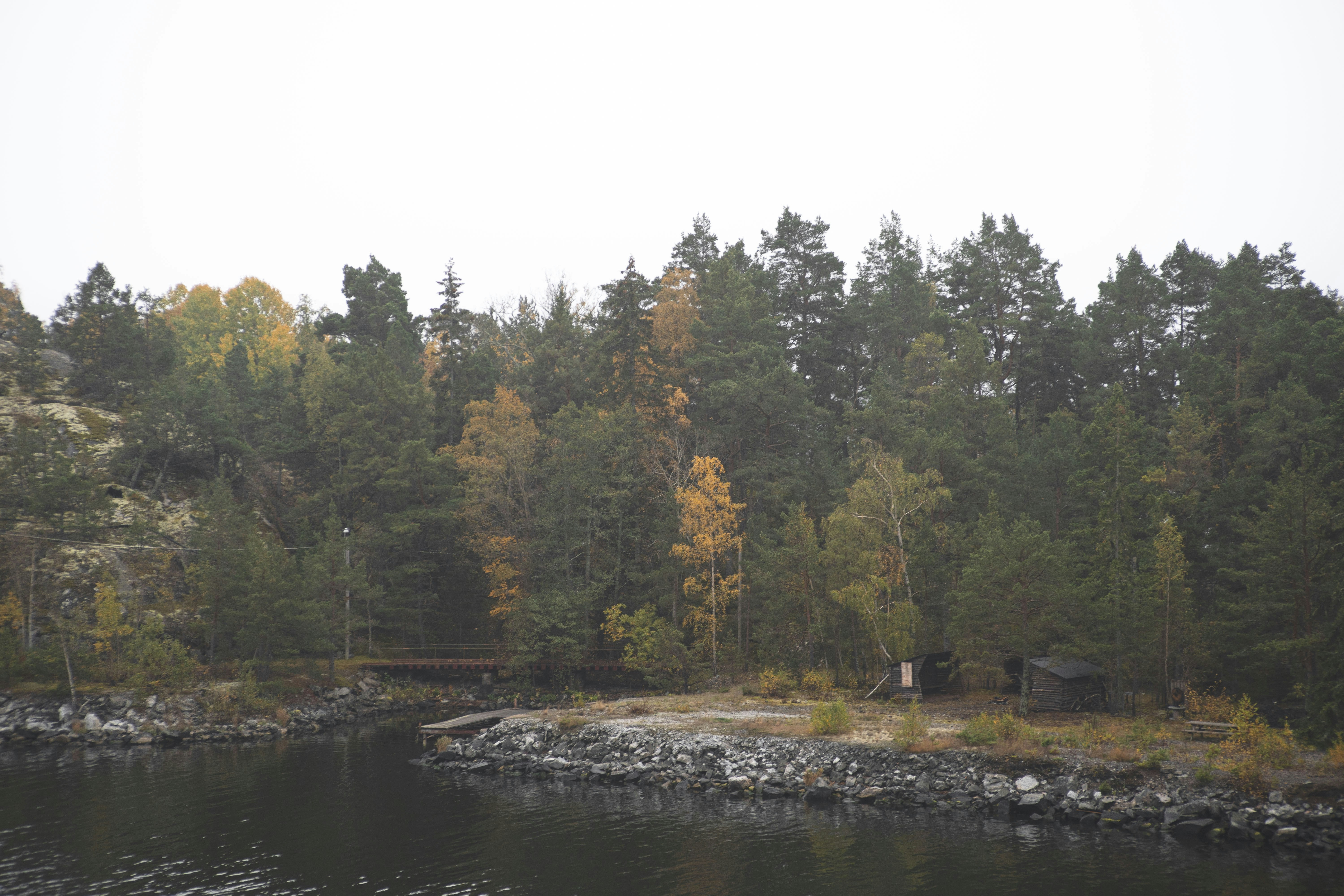 uno specchio d'acqua circondato da alberi e rocce