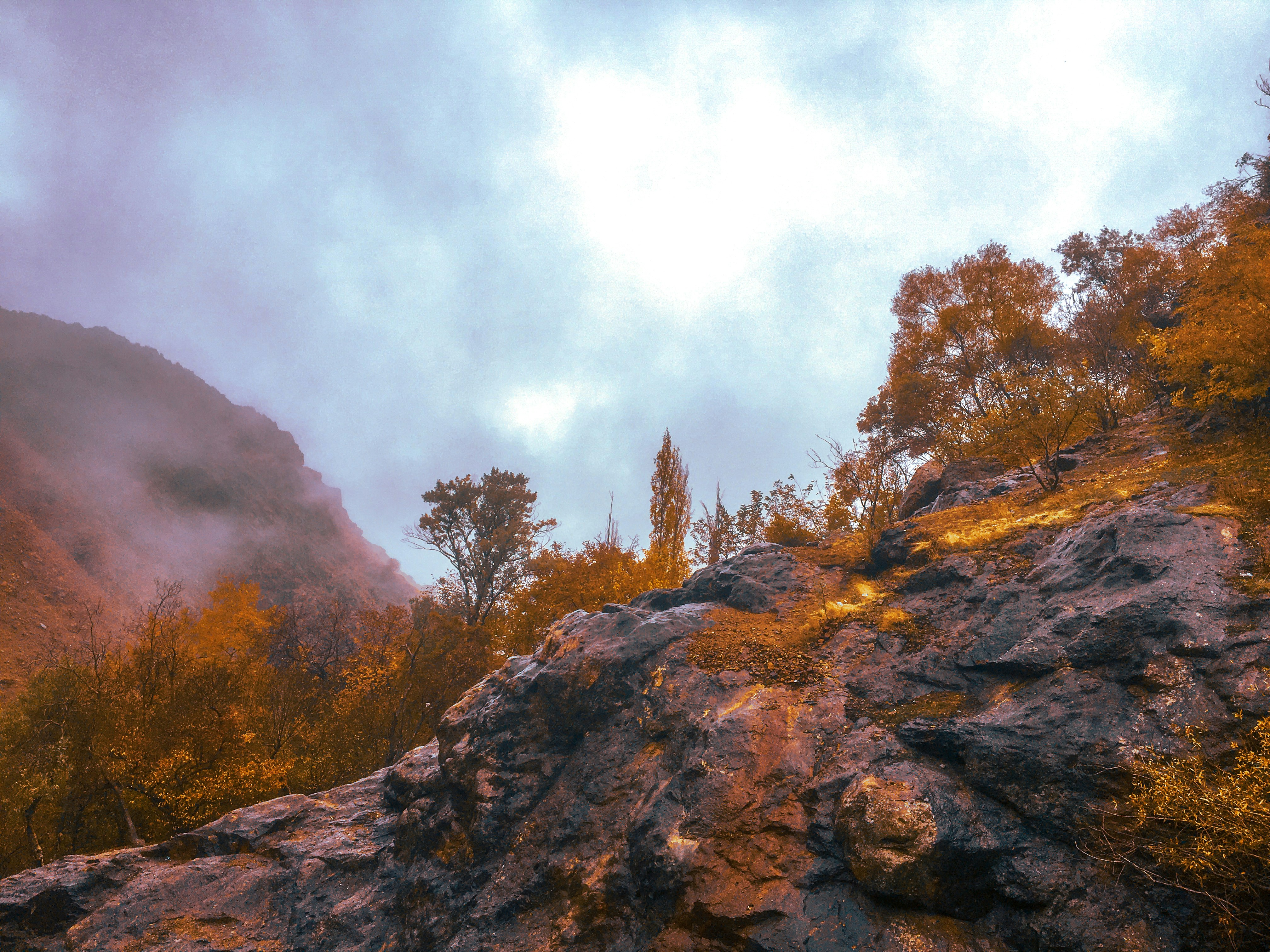 Photo by afshariam82