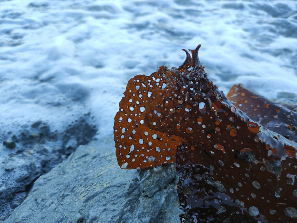 a piece of metal sitting on top of a rock