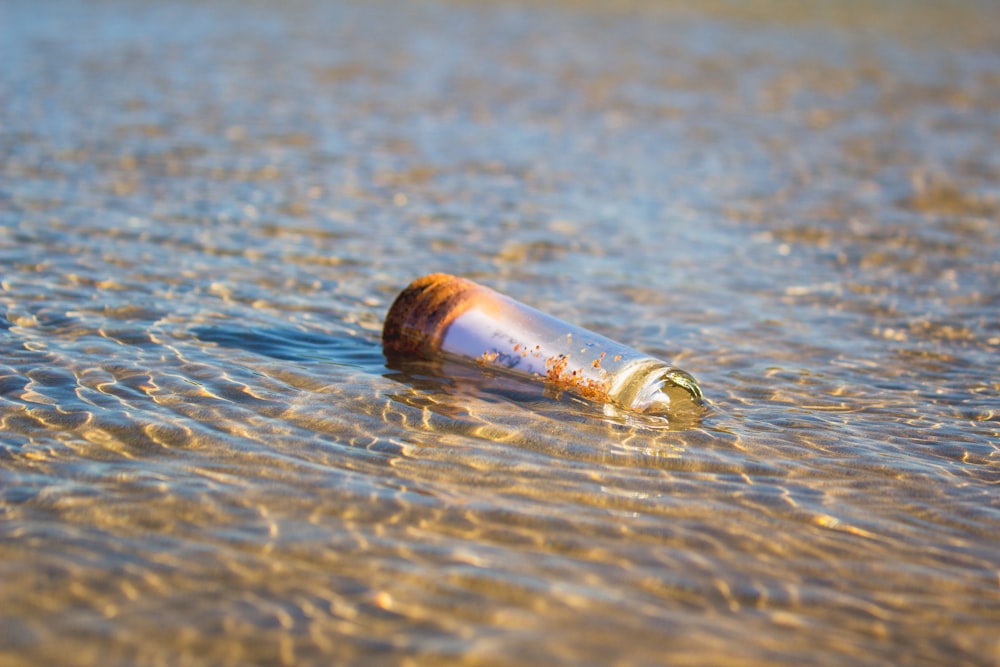 une bouteille flottant dans un plan d’eau