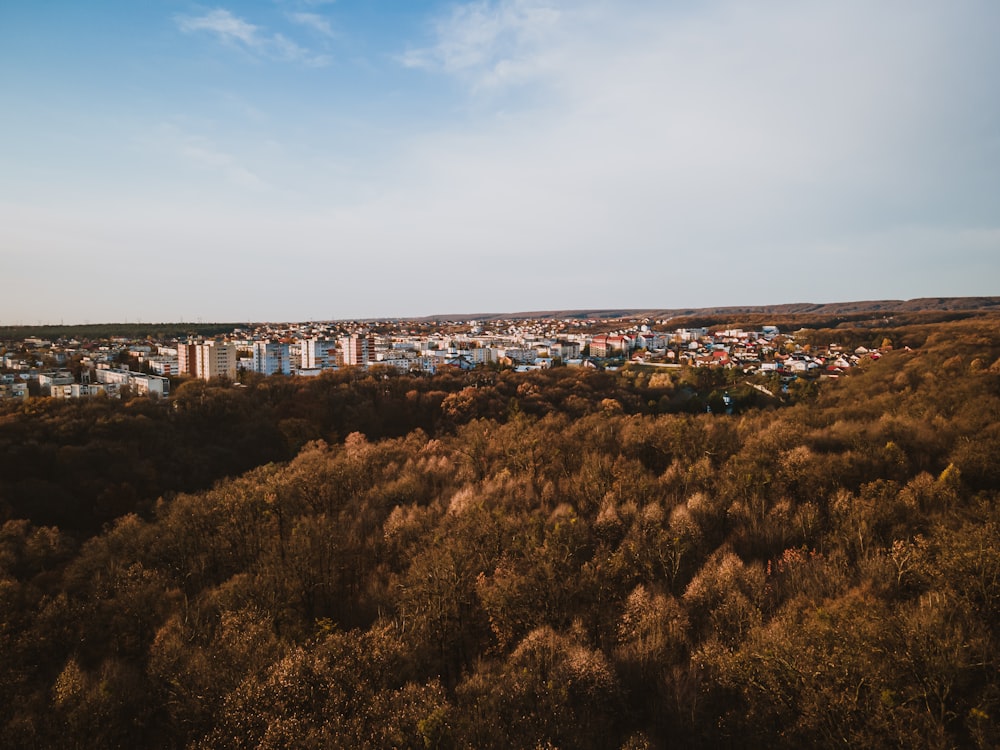 a view of a city in the distance from a hill