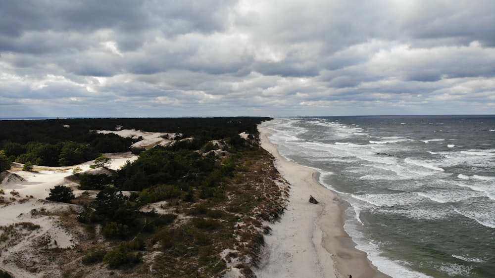 an aerial view of a sandy beach and ocean